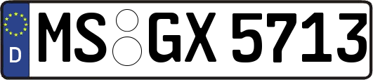 MS-GX5713
