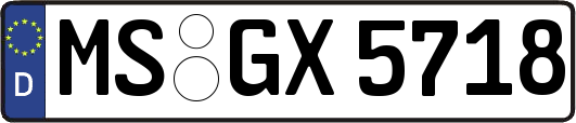 MS-GX5718