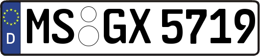MS-GX5719