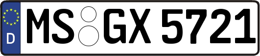 MS-GX5721