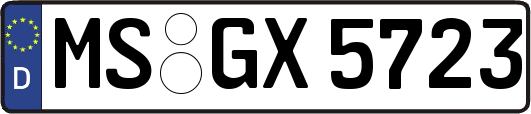 MS-GX5723