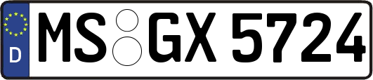 MS-GX5724