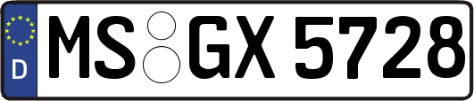 MS-GX5728