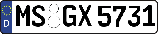 MS-GX5731