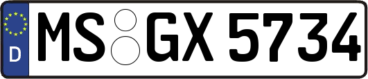 MS-GX5734