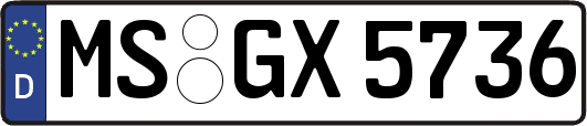 MS-GX5736