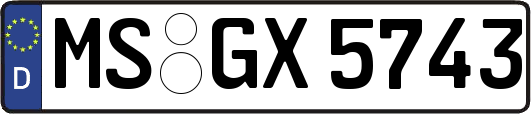 MS-GX5743