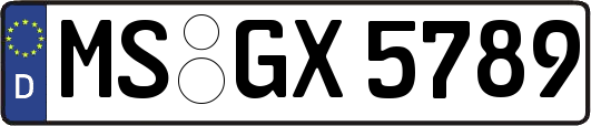 MS-GX5789