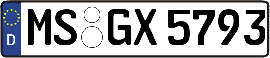 MS-GX5793