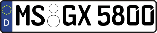 MS-GX5800