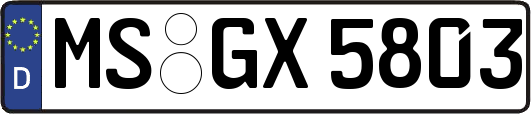 MS-GX5803