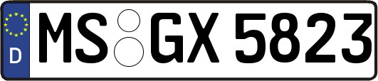 MS-GX5823