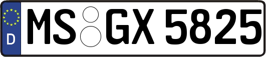 MS-GX5825