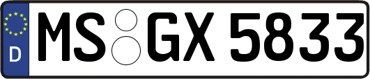 MS-GX5833