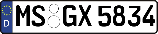 MS-GX5834