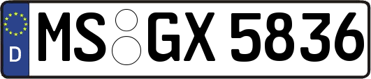 MS-GX5836