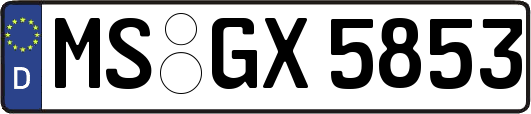 MS-GX5853