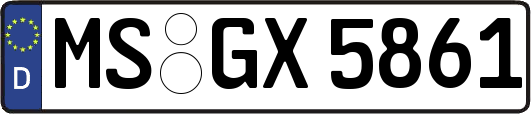MS-GX5861