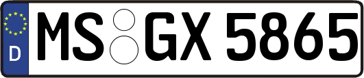 MS-GX5865