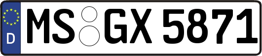 MS-GX5871