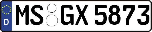 MS-GX5873