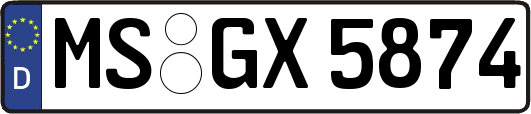 MS-GX5874