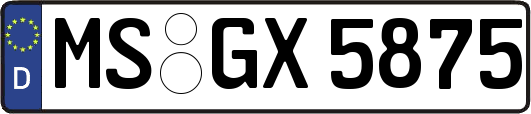 MS-GX5875
