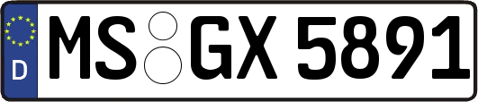 MS-GX5891