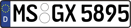 MS-GX5895