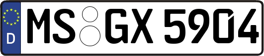 MS-GX5904
