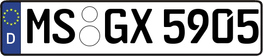 MS-GX5905