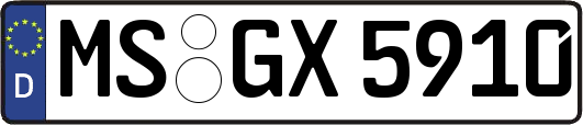 MS-GX5910