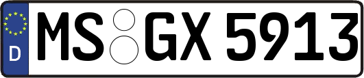 MS-GX5913