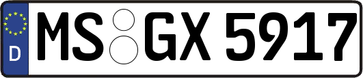 MS-GX5917