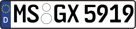 MS-GX5919