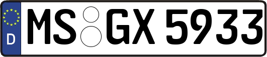 MS-GX5933
