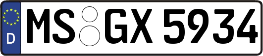 MS-GX5934