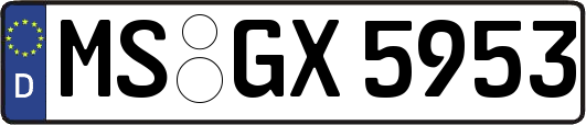 MS-GX5953