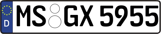 MS-GX5955