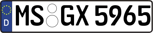 MS-GX5965