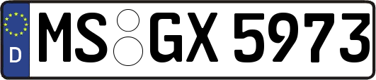 MS-GX5973
