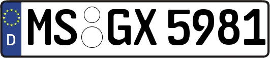 MS-GX5981