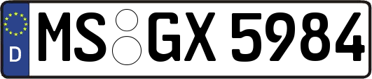 MS-GX5984