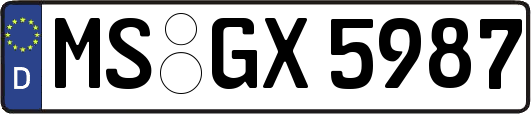 MS-GX5987