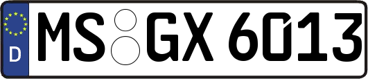 MS-GX6013