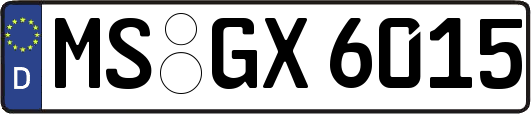 MS-GX6015