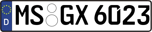MS-GX6023
