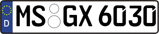 MS-GX6030