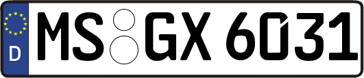 MS-GX6031