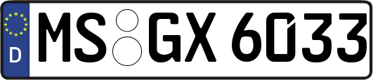 MS-GX6033